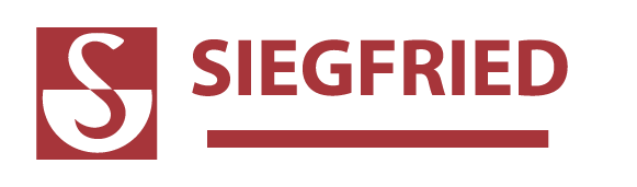 logo-premium-04